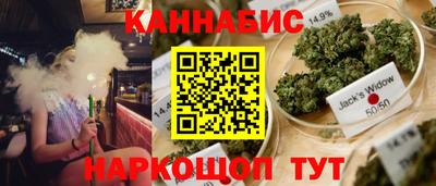 шишки Жуковский