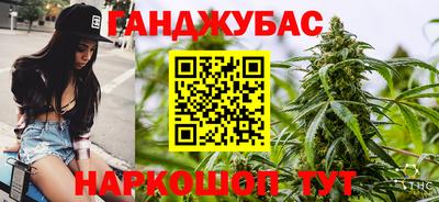 шишки Жуковский